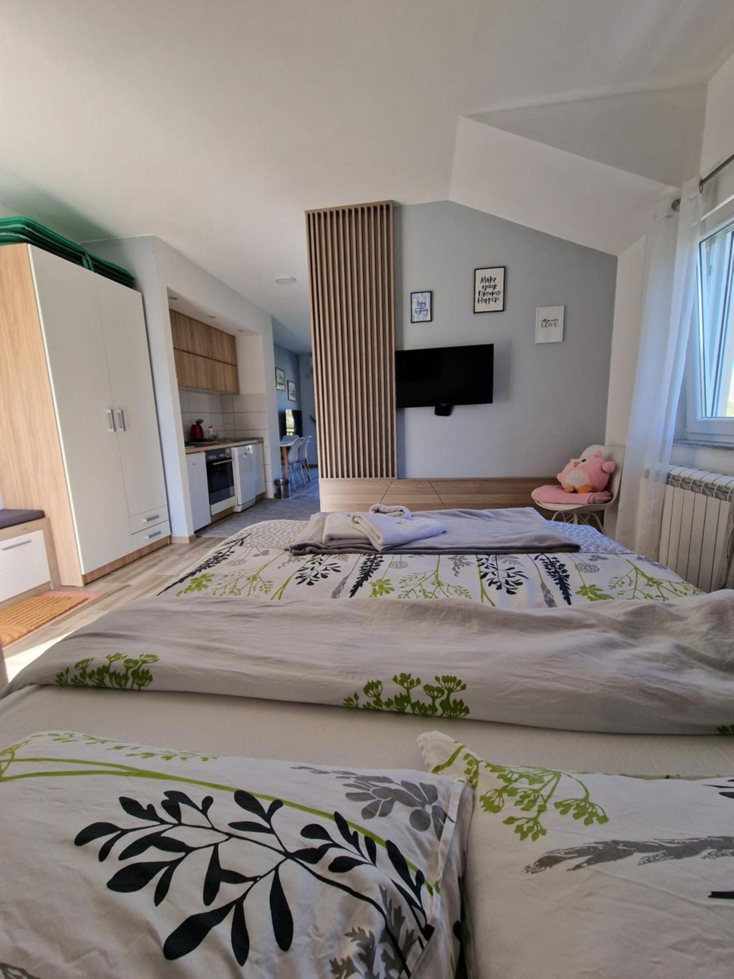 Studio Apartmani Milovic 特雷比涅 外观 照片