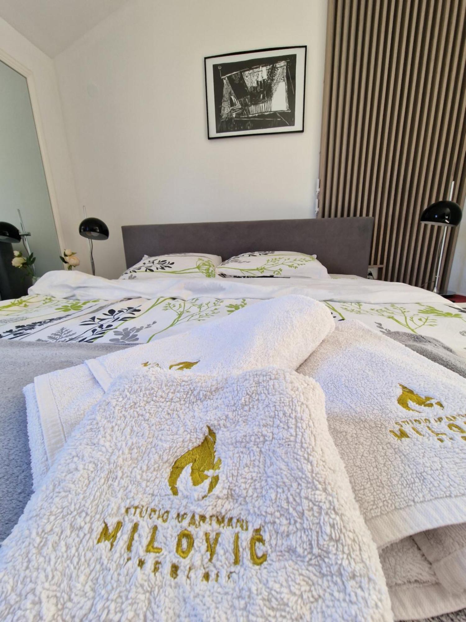 Studio Apartmani Milovic 特雷比涅 外观 照片
