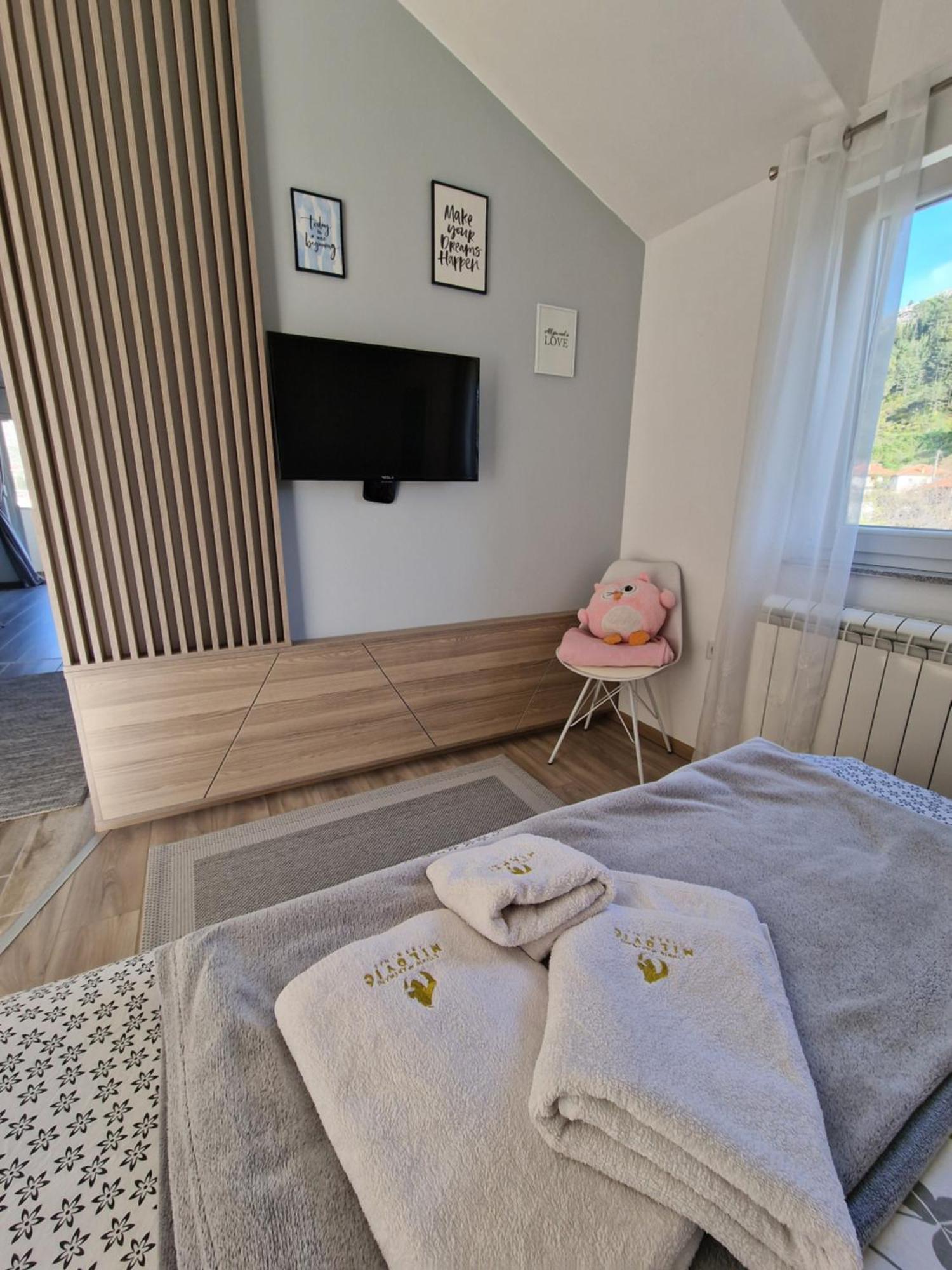 Studio Apartmani Milovic 特雷比涅 外观 照片